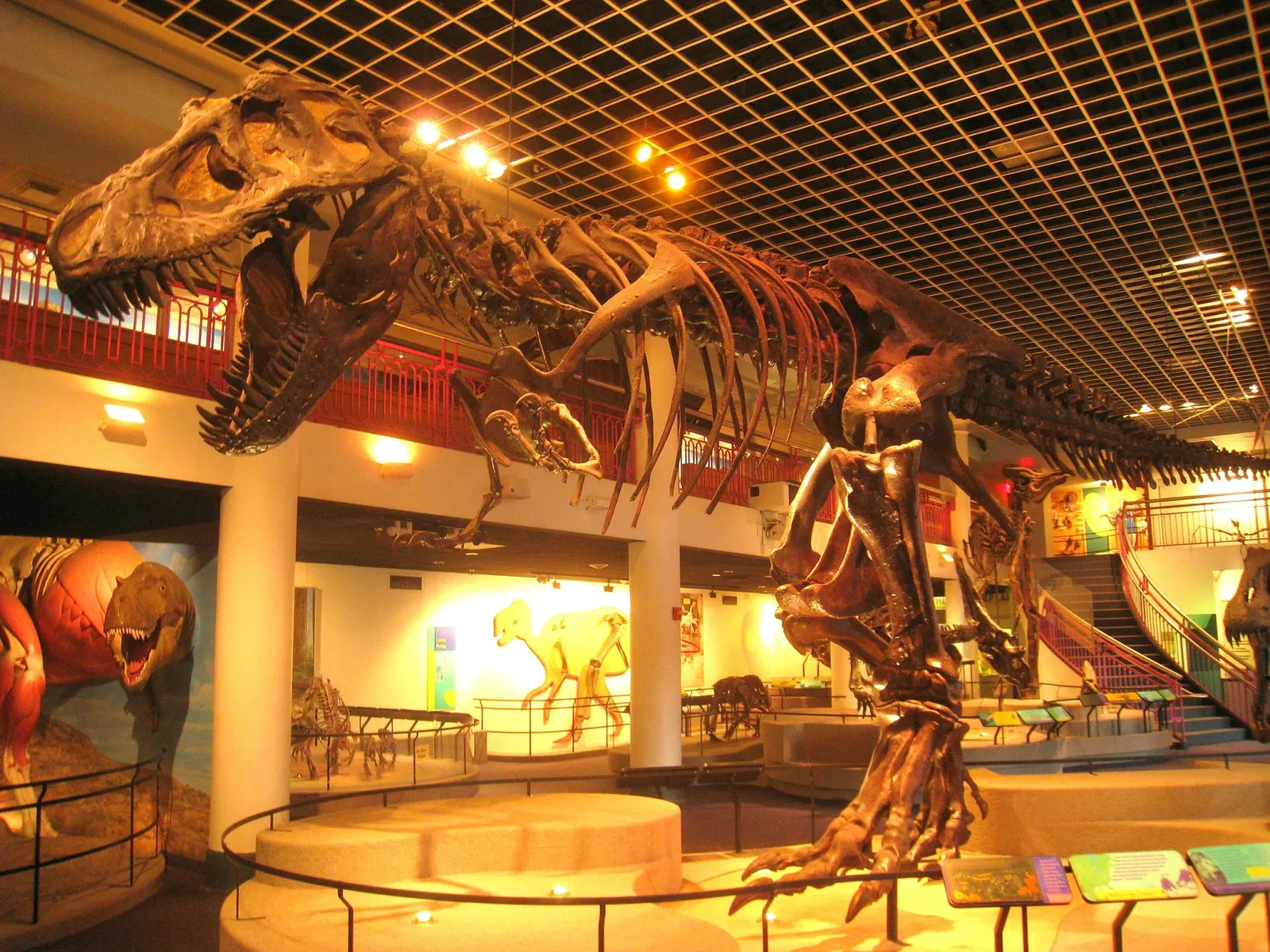 Academy of Natural Sciences