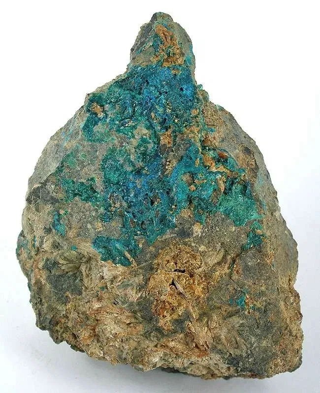 Academy of Natural Sciences of Drexel University