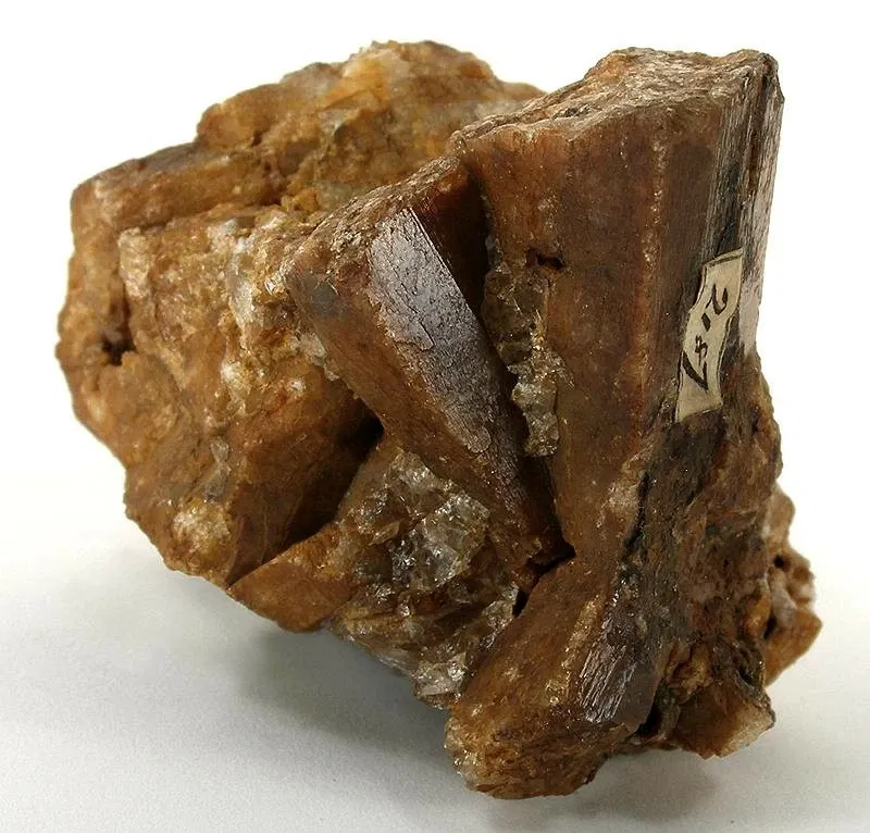 Academy of Natural Sciences of Drexel University