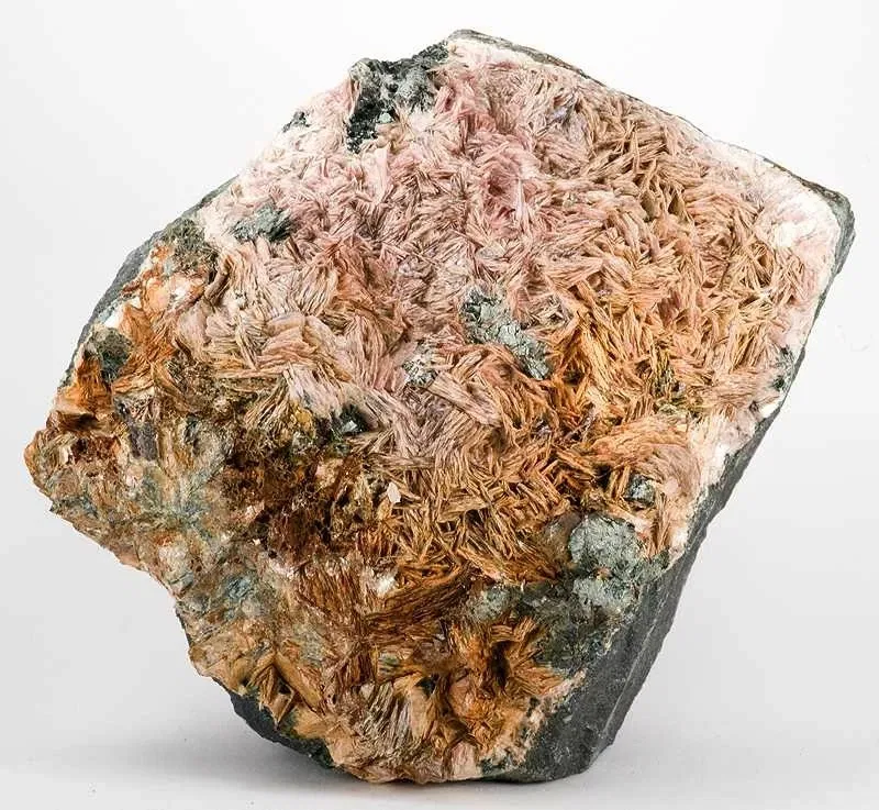 Academy of Natural Sciences of Drexel University