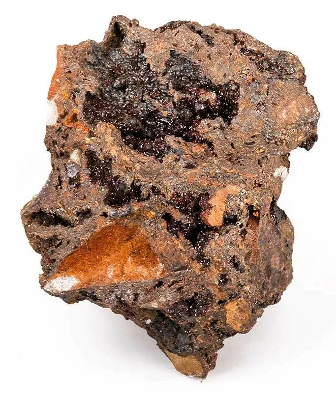 Academy of Natural Sciences