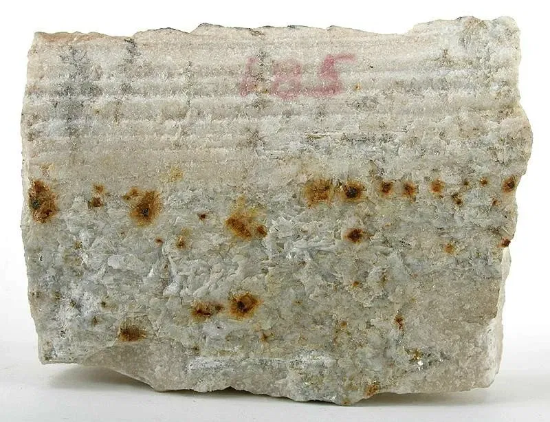 Academia de Ciencias Naturales de la Universidad Drexel