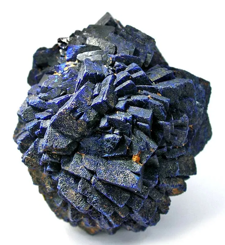 Academy of Natural Sciences of Drexel University