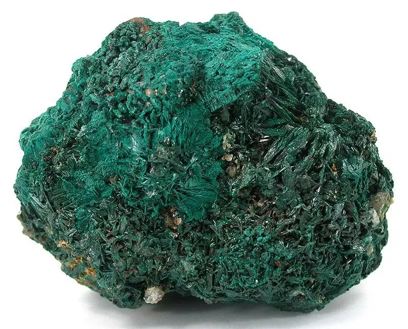 Academy of Natural Sciences