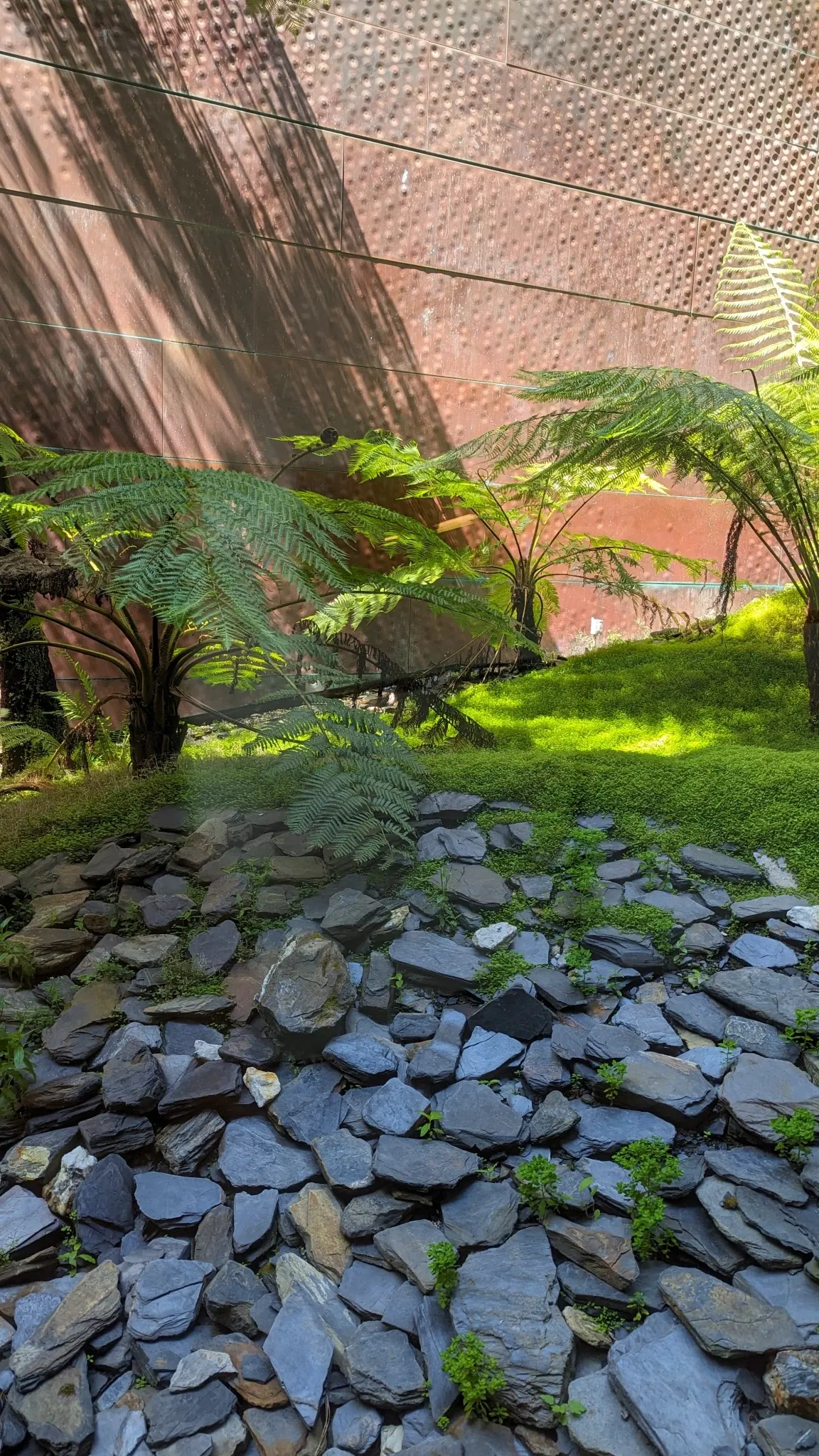 De Young Memorial Museum