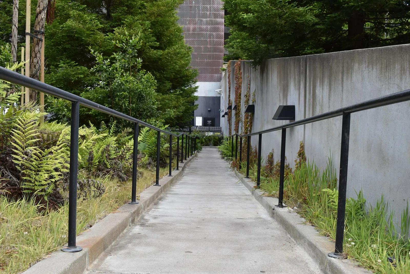 M. H. de Young Memorial Museum