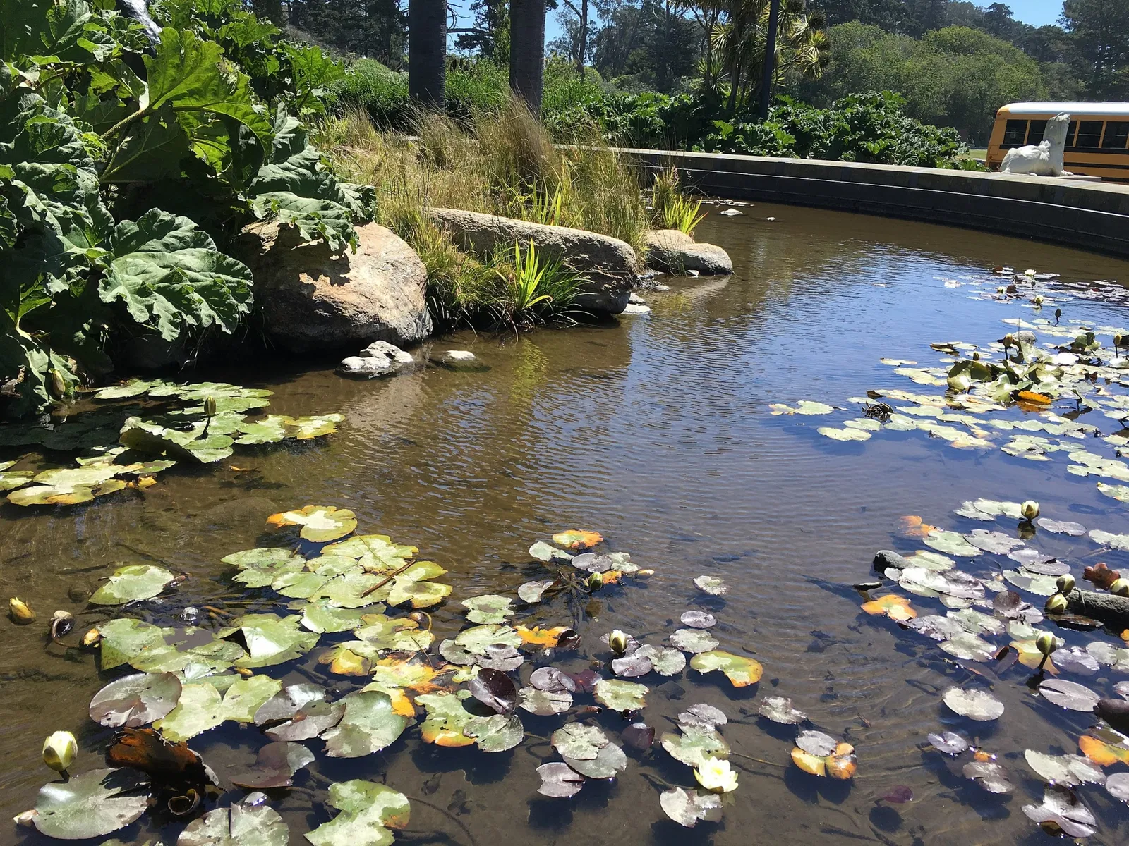 M. H. de Young Memorial Museum