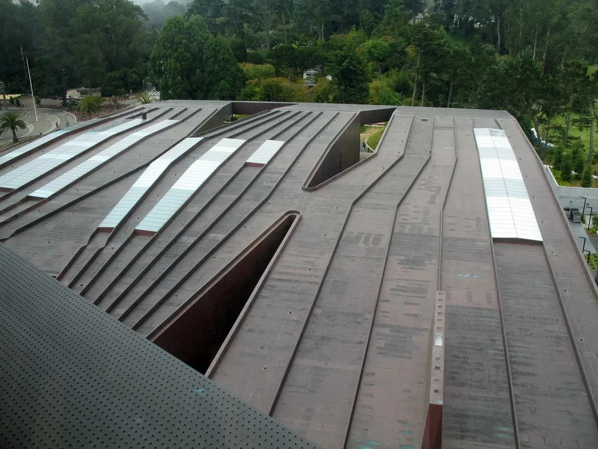 De Young Memorial Museum