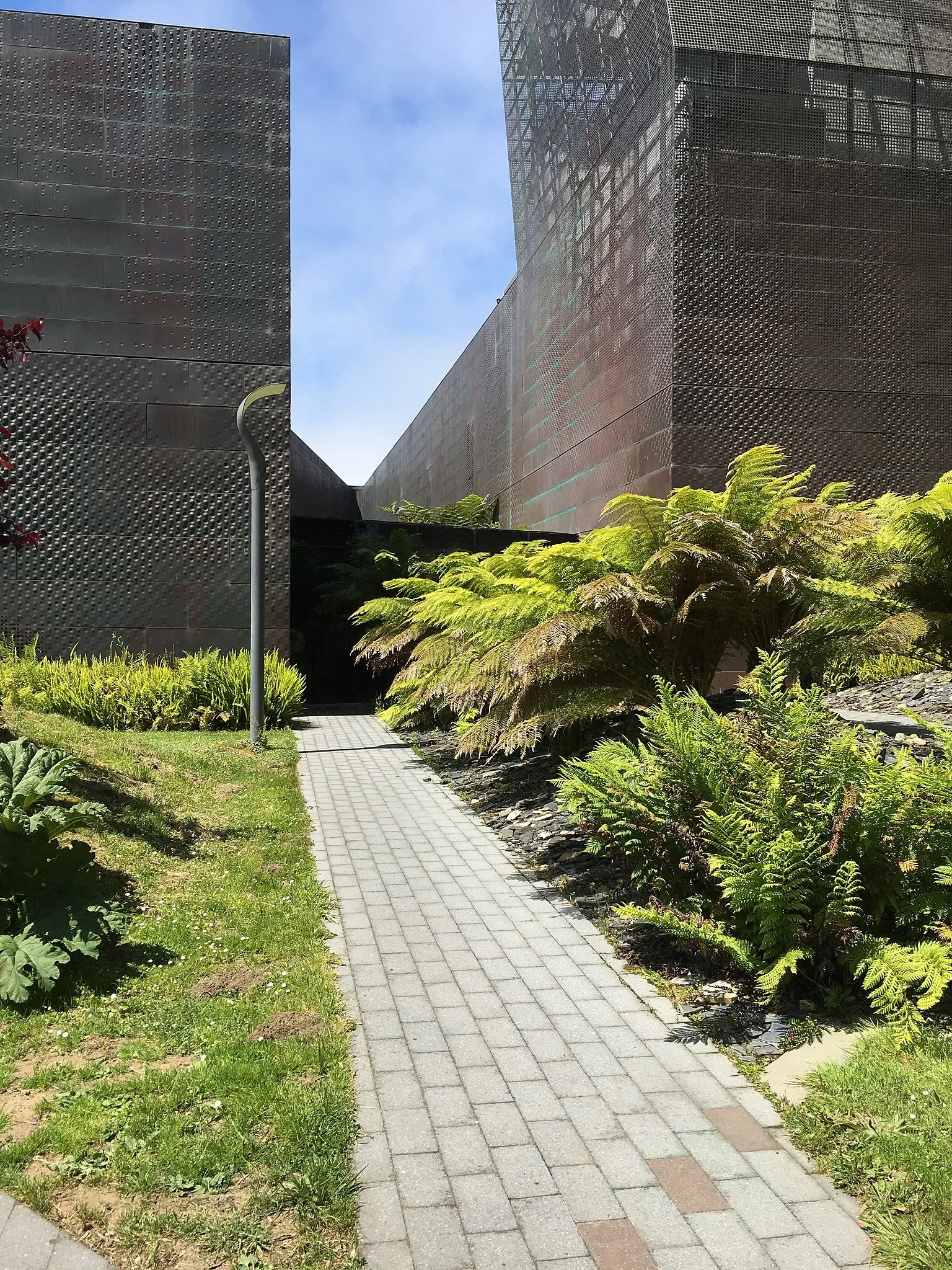 M. H. de Young Memorial Museum