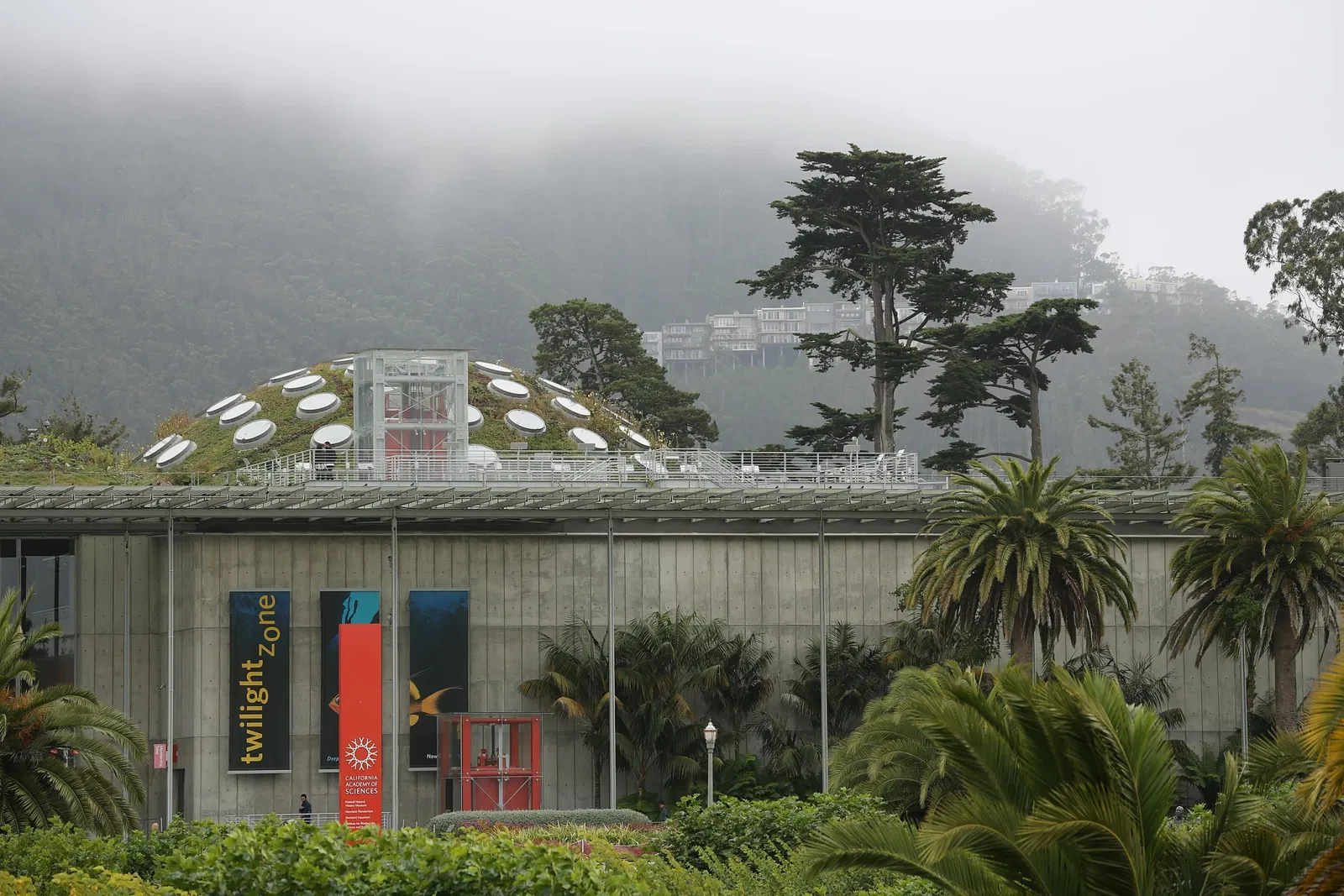 Academia de Ciencias de California