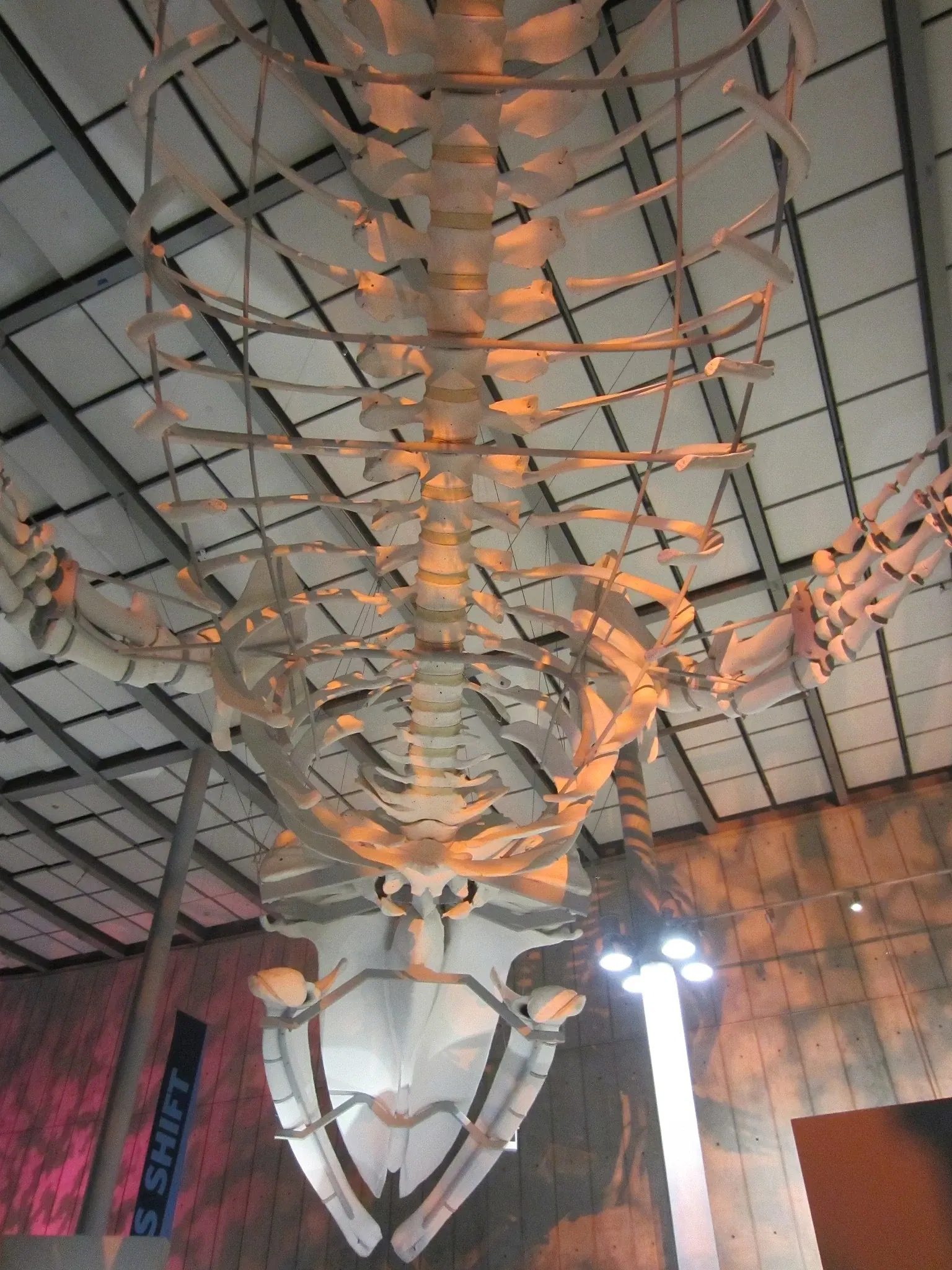 California Academy of Sciences