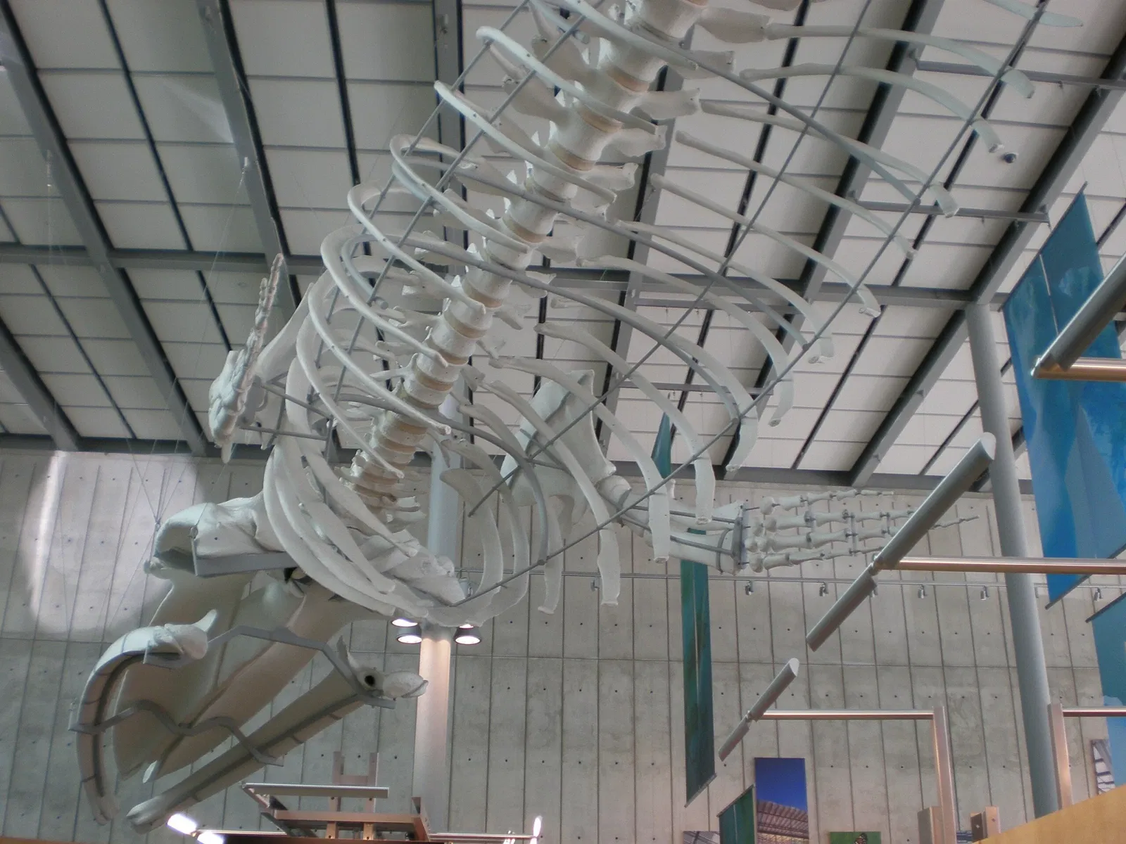 Academia de Ciencias de California