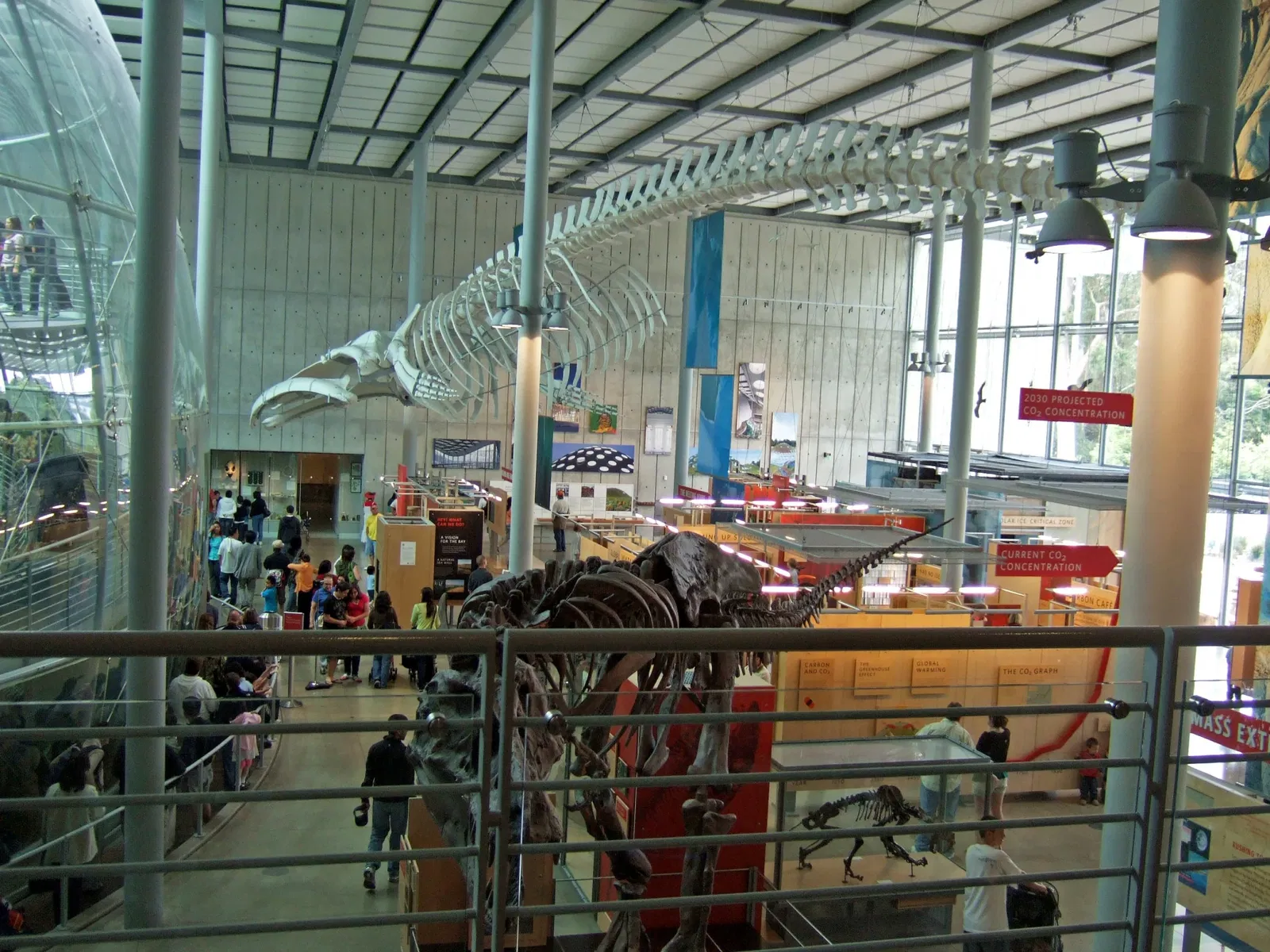 California Academy of Sciences