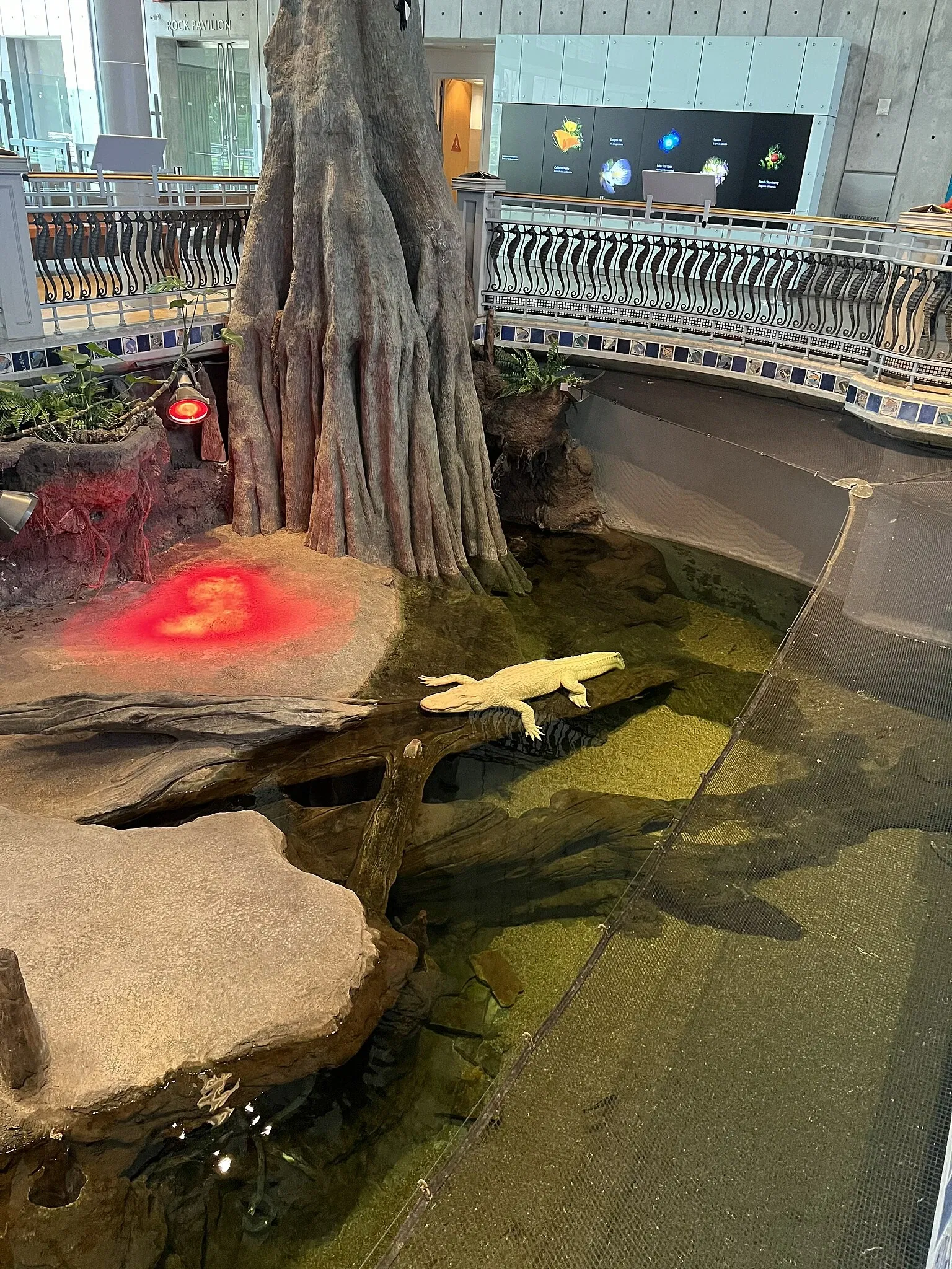 California Academy of Sciences