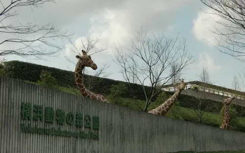 Yokohama Zoological Gardens