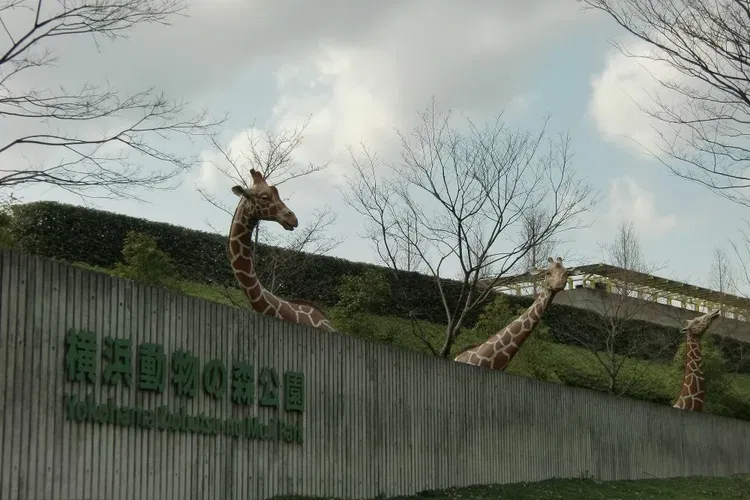 Yokohama Zoological Gardens