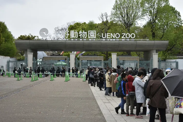 Ueno Zoo