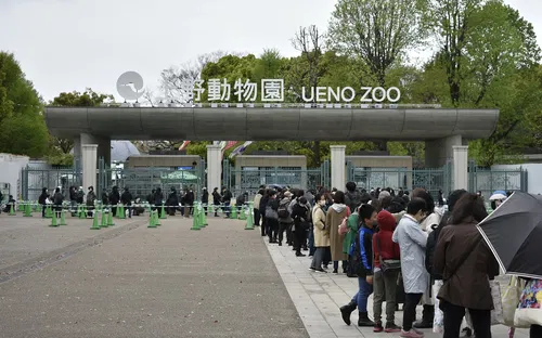 Ueno Zoo