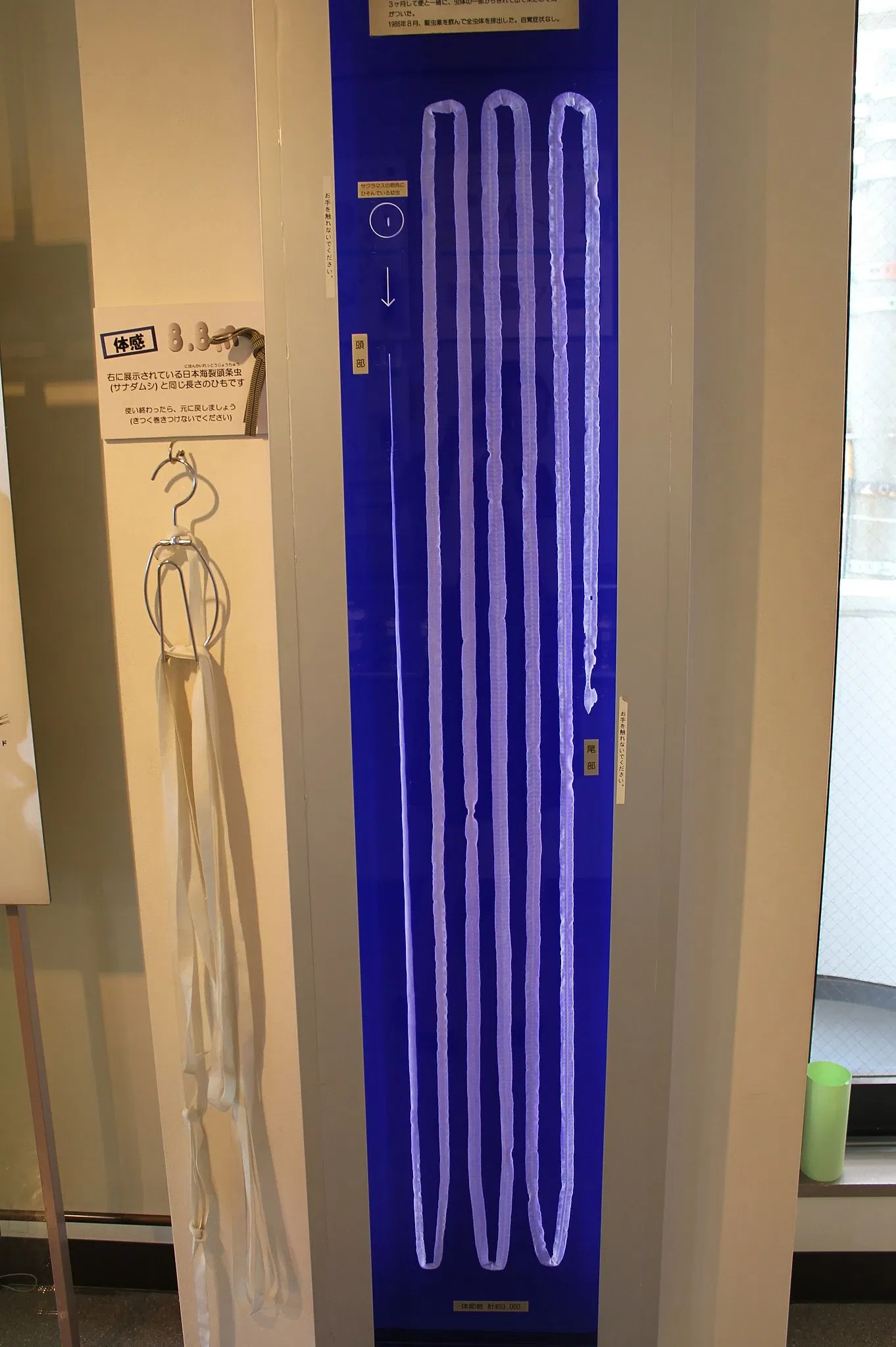 Meguro Parasitological Museum