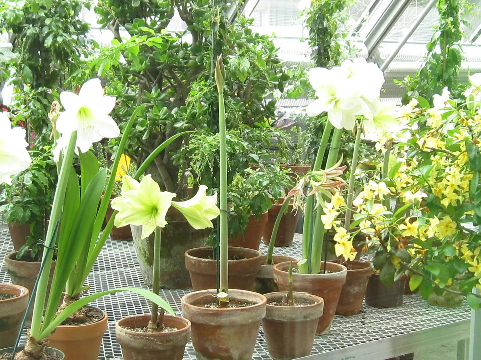 Isabella Stewart Gardner Museum