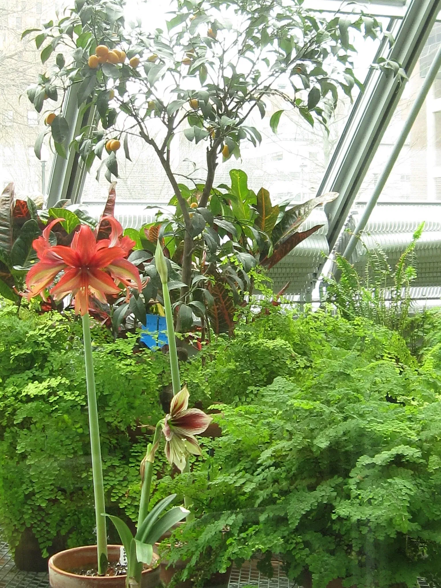 Museo Isabella Stewart Gardner