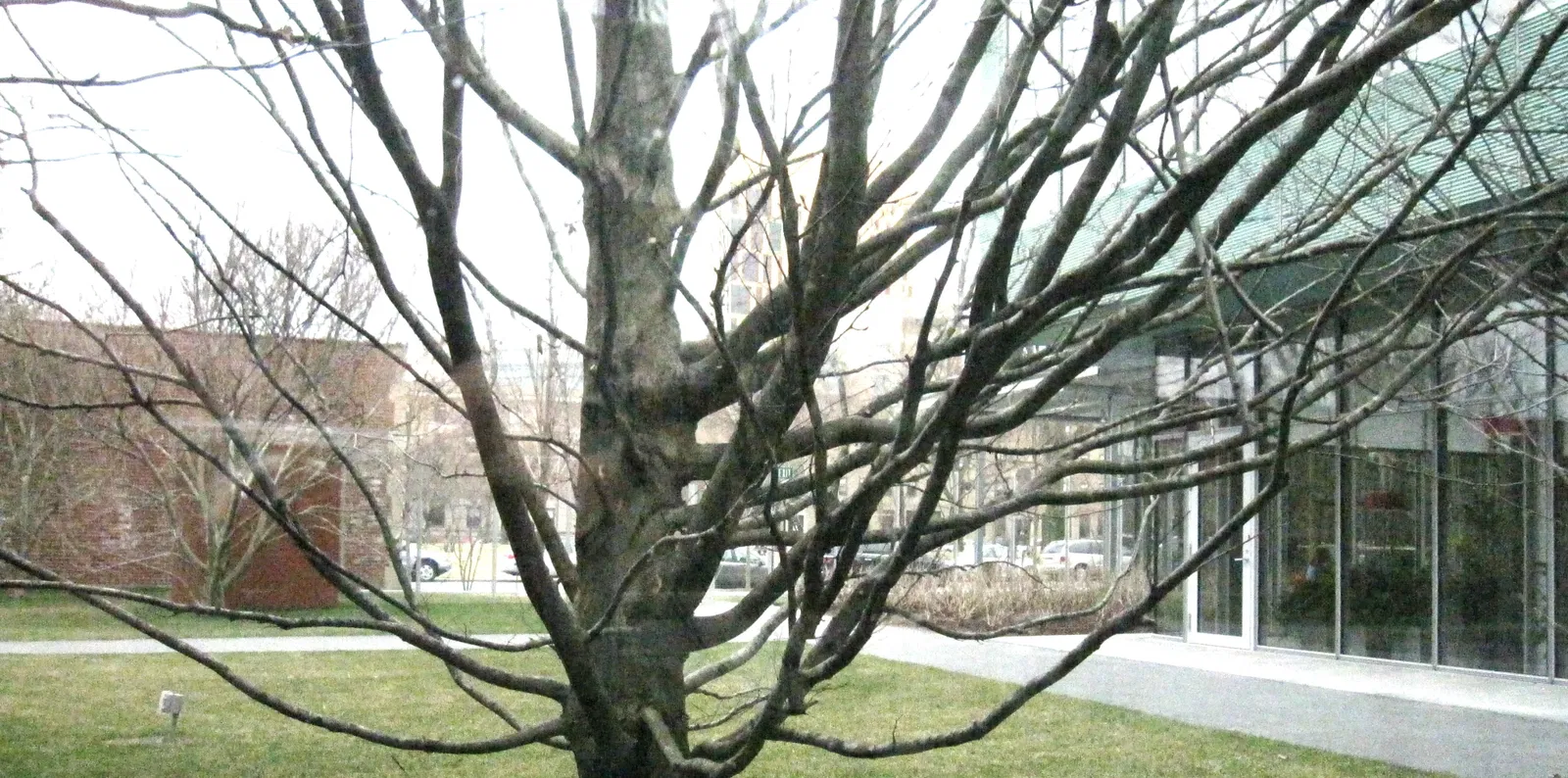 Isabella Stewart Gardner Museum