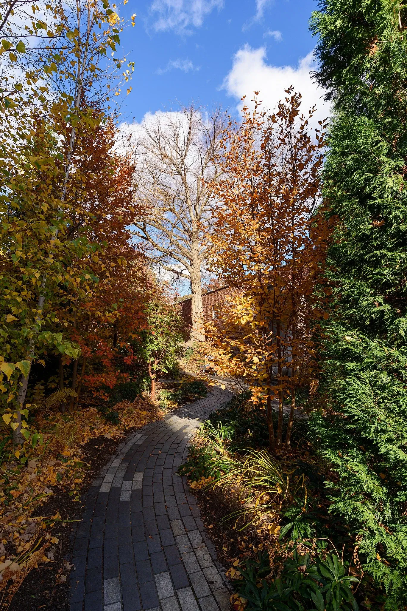 Museo Isabella Stewart Gardner