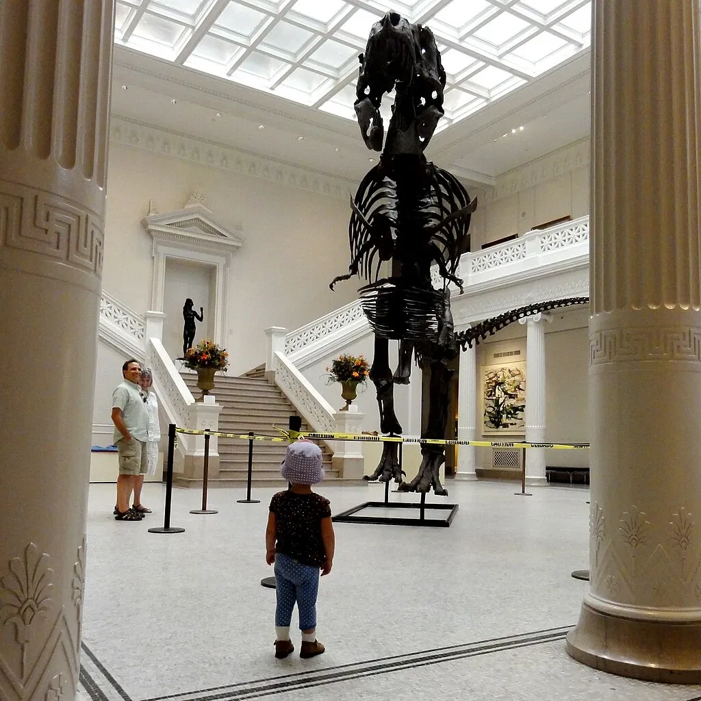 New Orleans Museum of Art