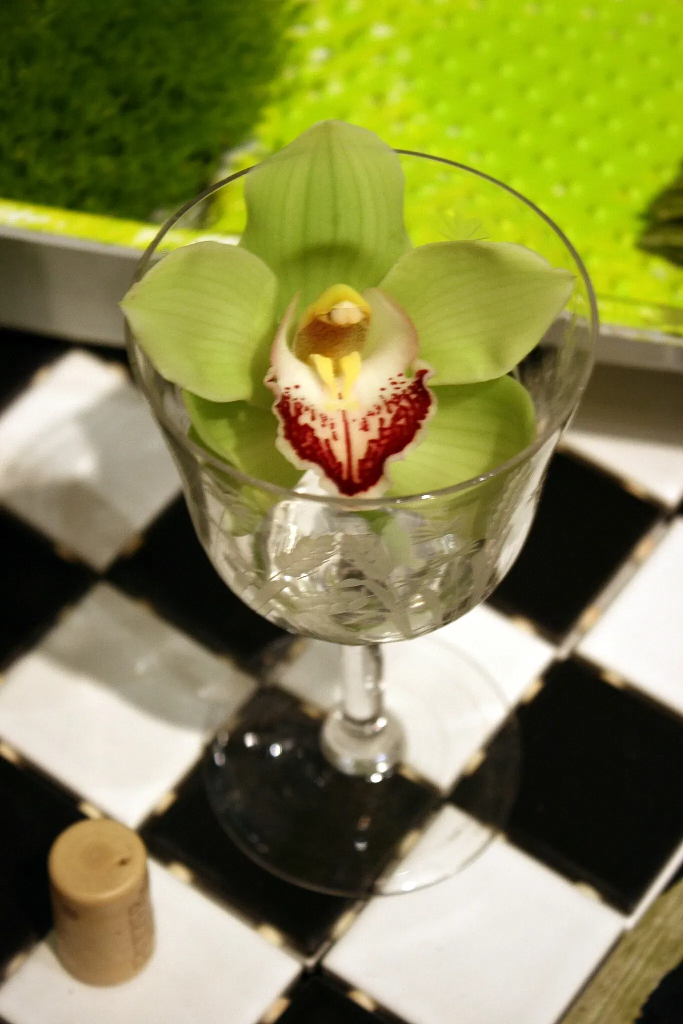 Musée d'Art de La Nouvelle-Orléans