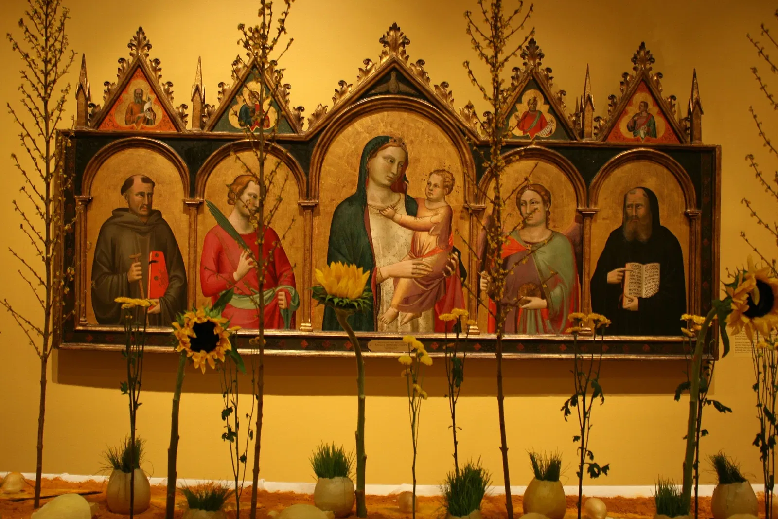 New Orleans Museum of Art