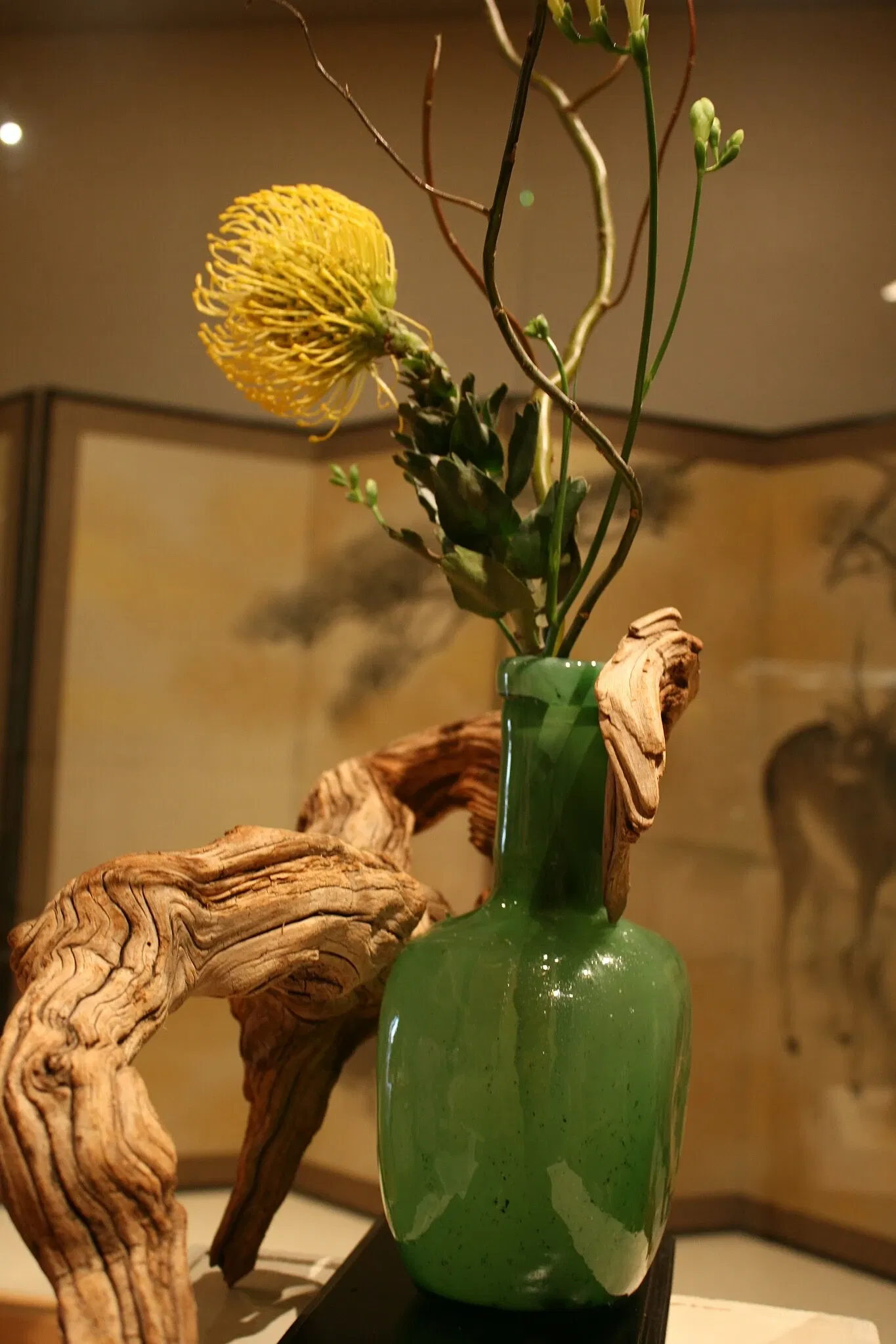 New Orleans Museum of Art