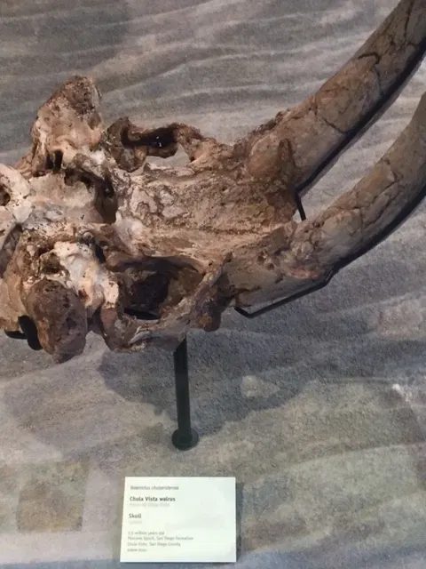 Museo de Historia Natural de San Diego