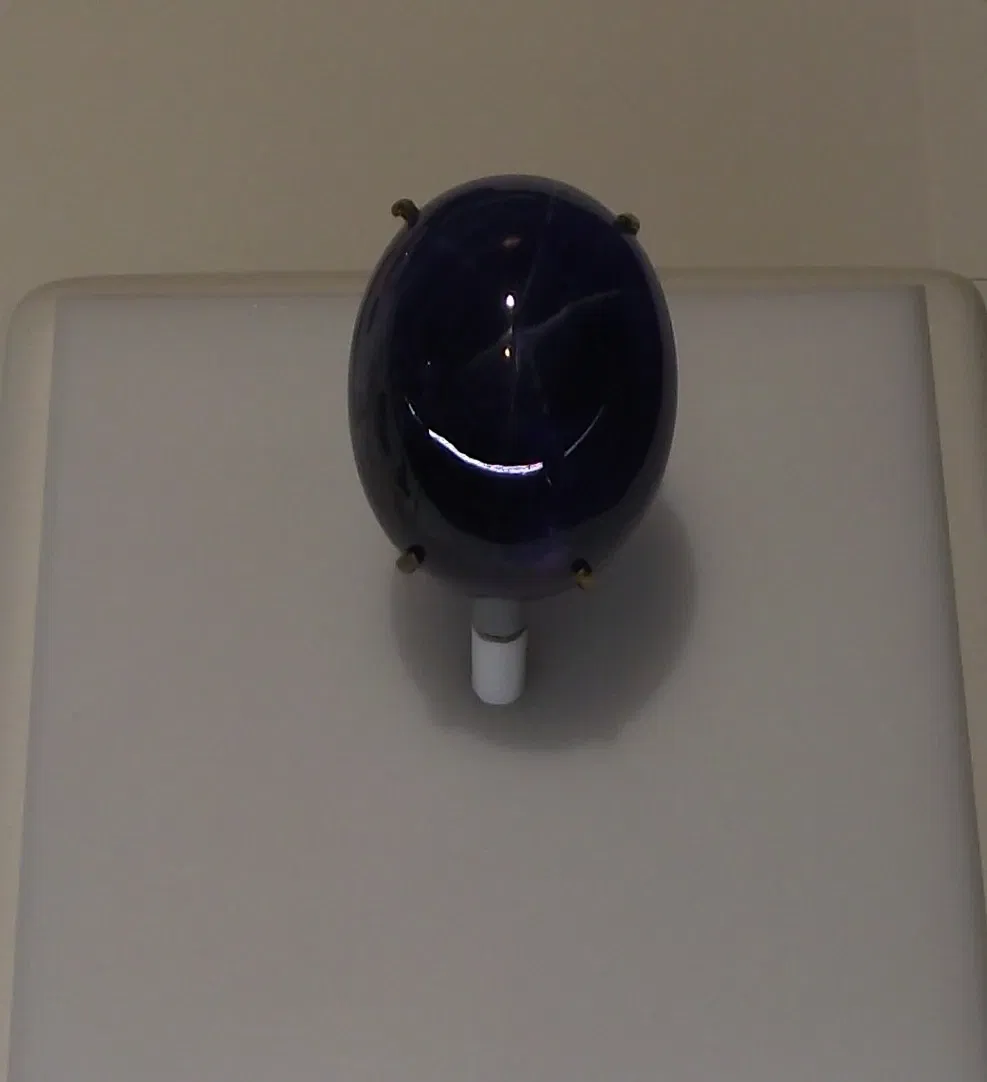 Museo de Historia Natural de San Diego