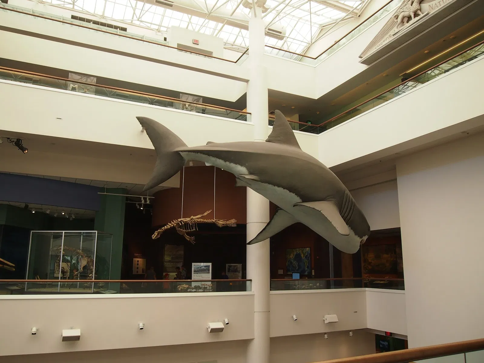 Museo de Historia Natural de San Diego