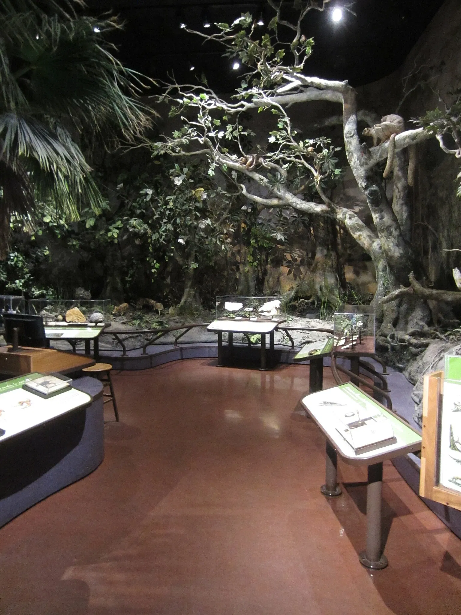 San Diego Natural History Museum