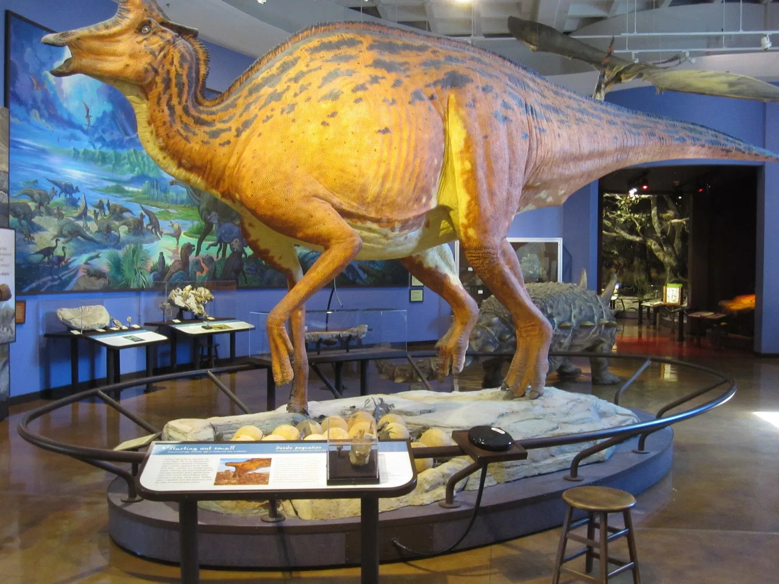 Museo de Historia Natural de San Diego