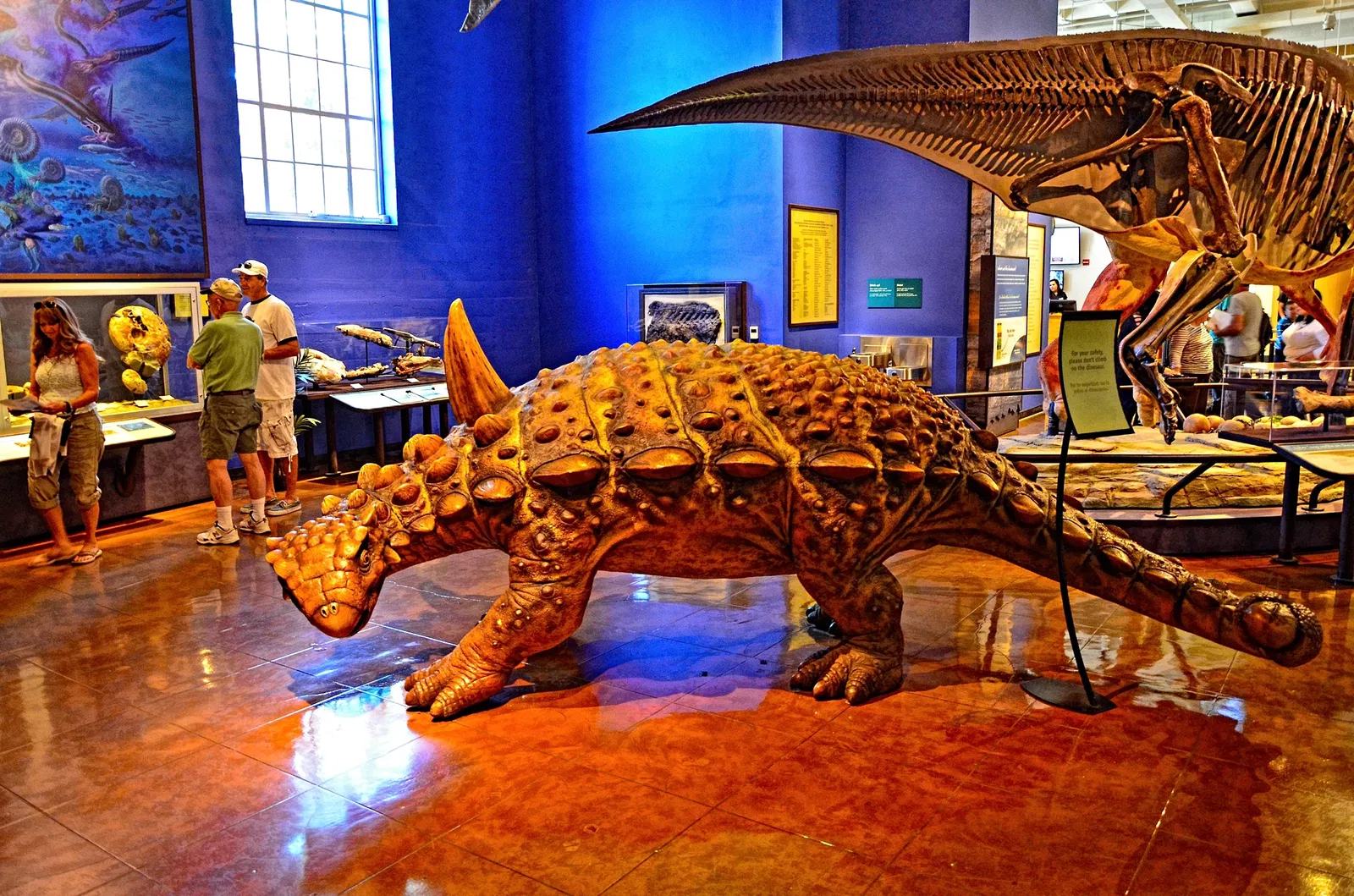 San Diego Natural History Museum