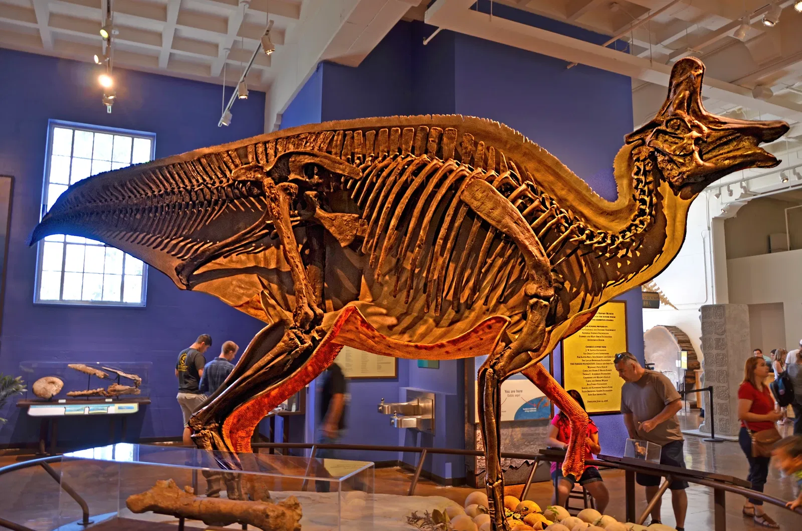 Museo de Historia Natural de San Diego