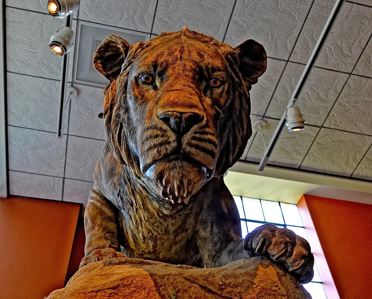 Museo de Historia Natural de San Diego