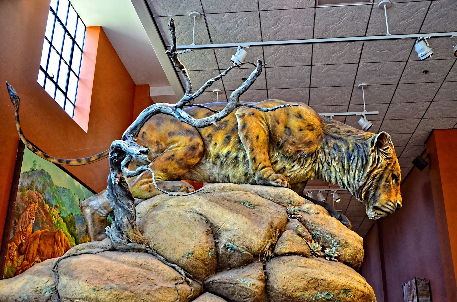 Museo de Historia Natural de San Diego