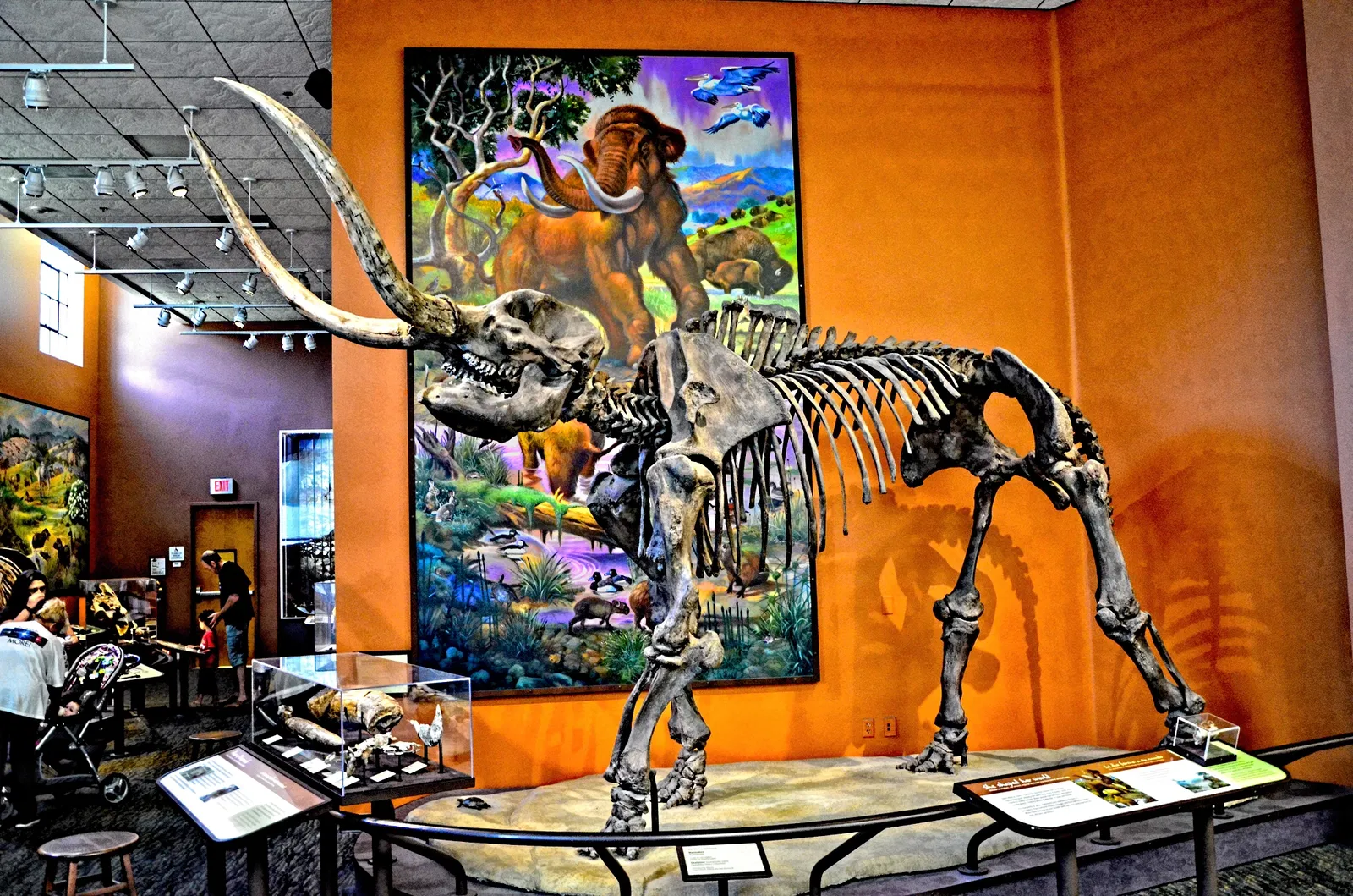 Museo de Historia Natural de San Diego