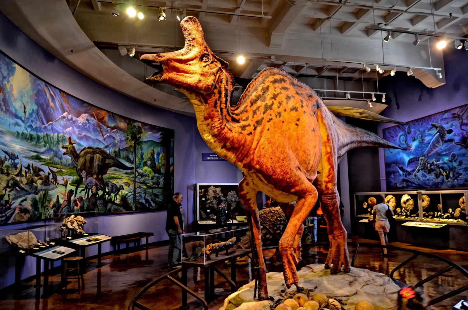 San Diego Natural History Museum