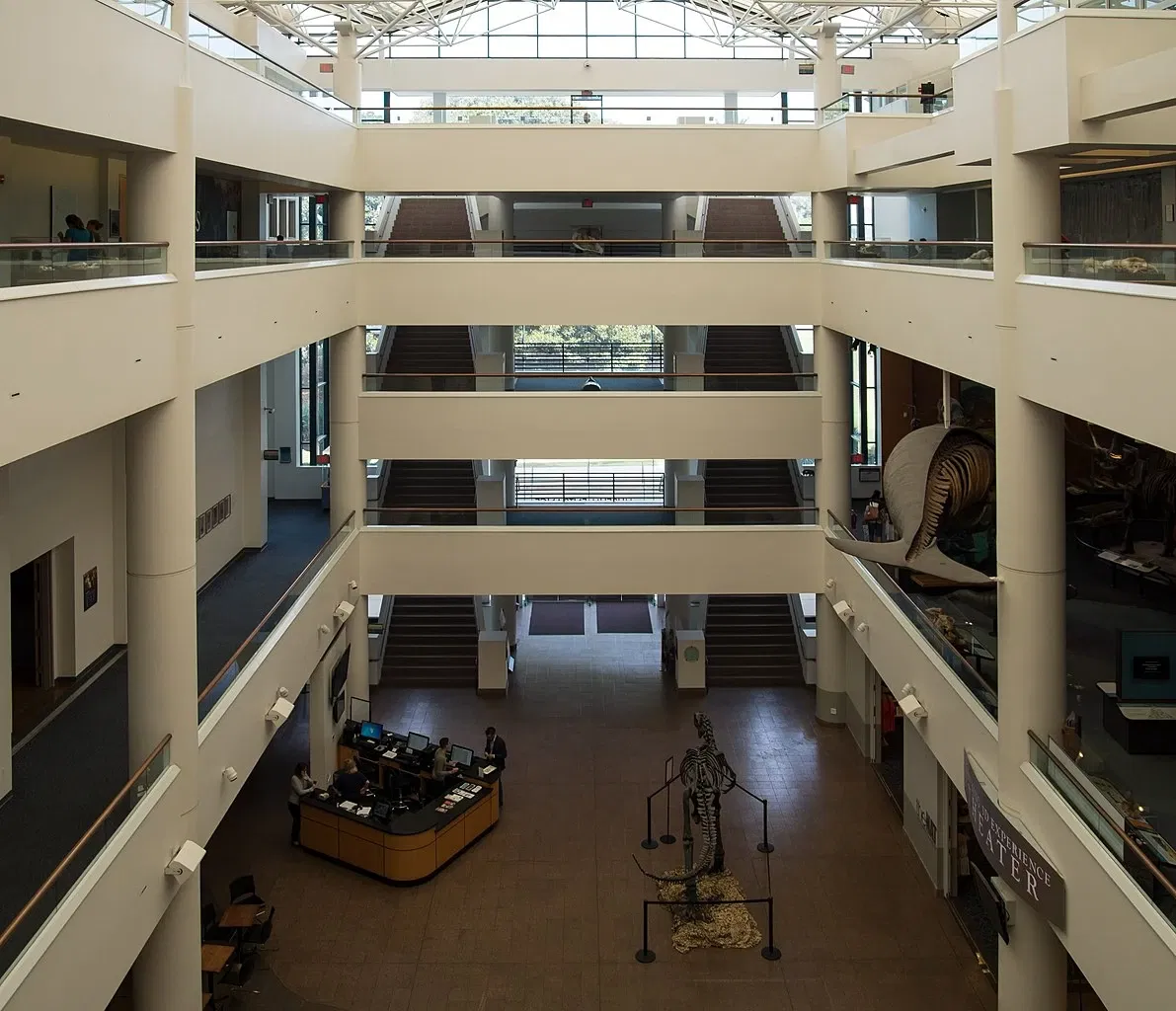 San Diego Natural History Museum