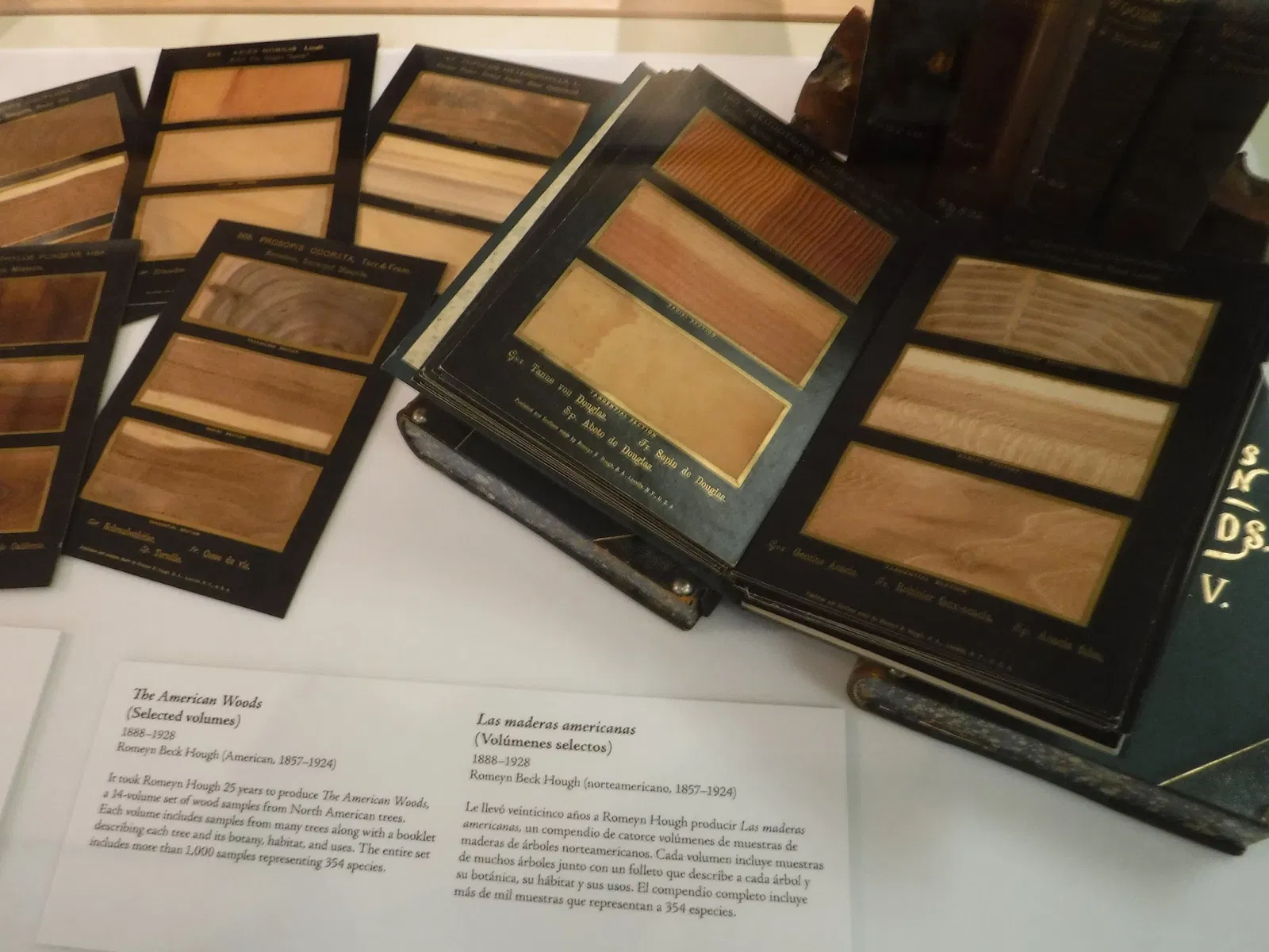 San Diego Natural History Museum