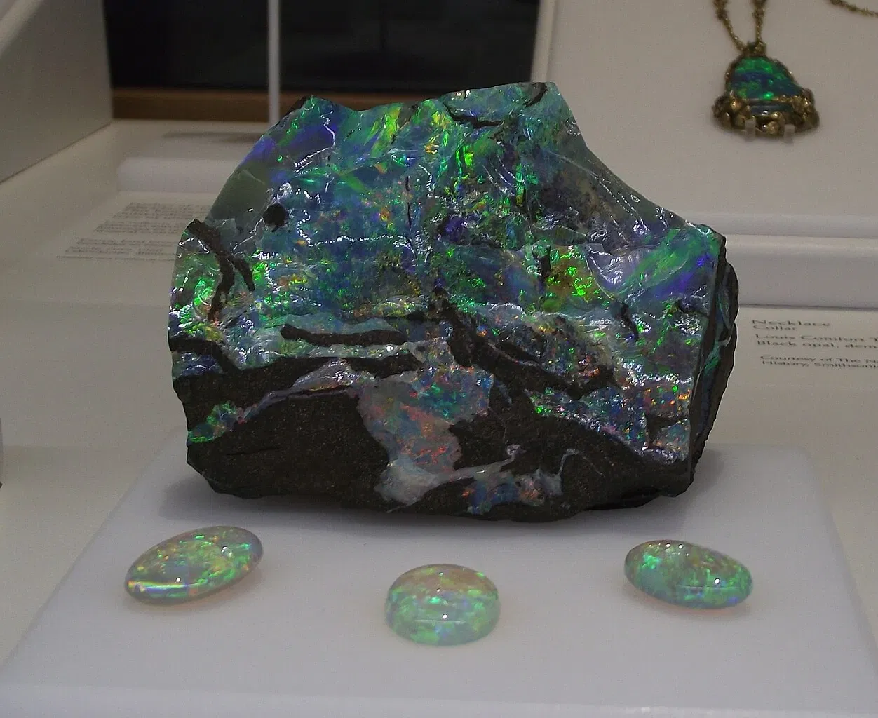 Museo de Historia Natural de San Diego