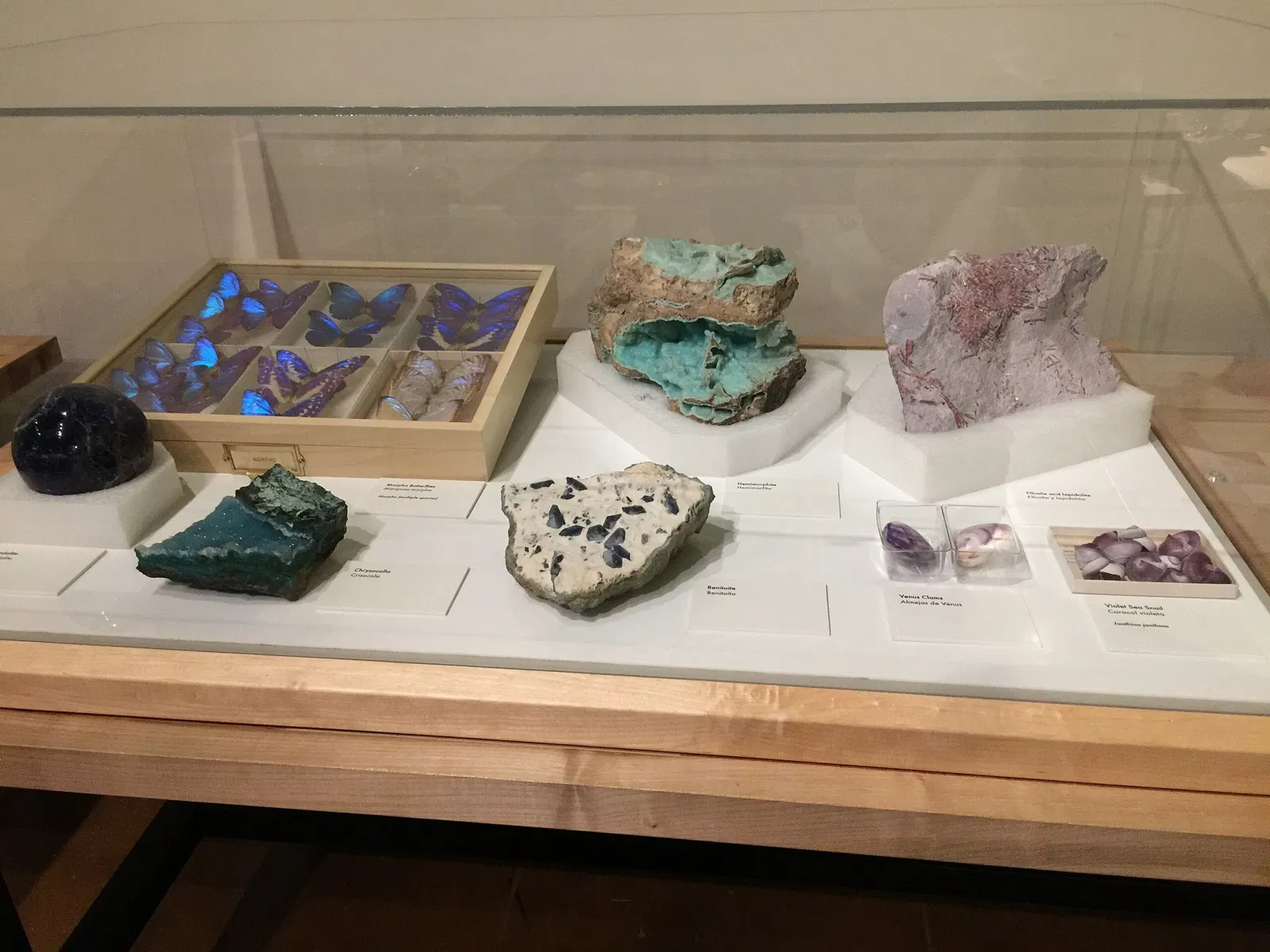 Museo de Historia Natural de San Diego