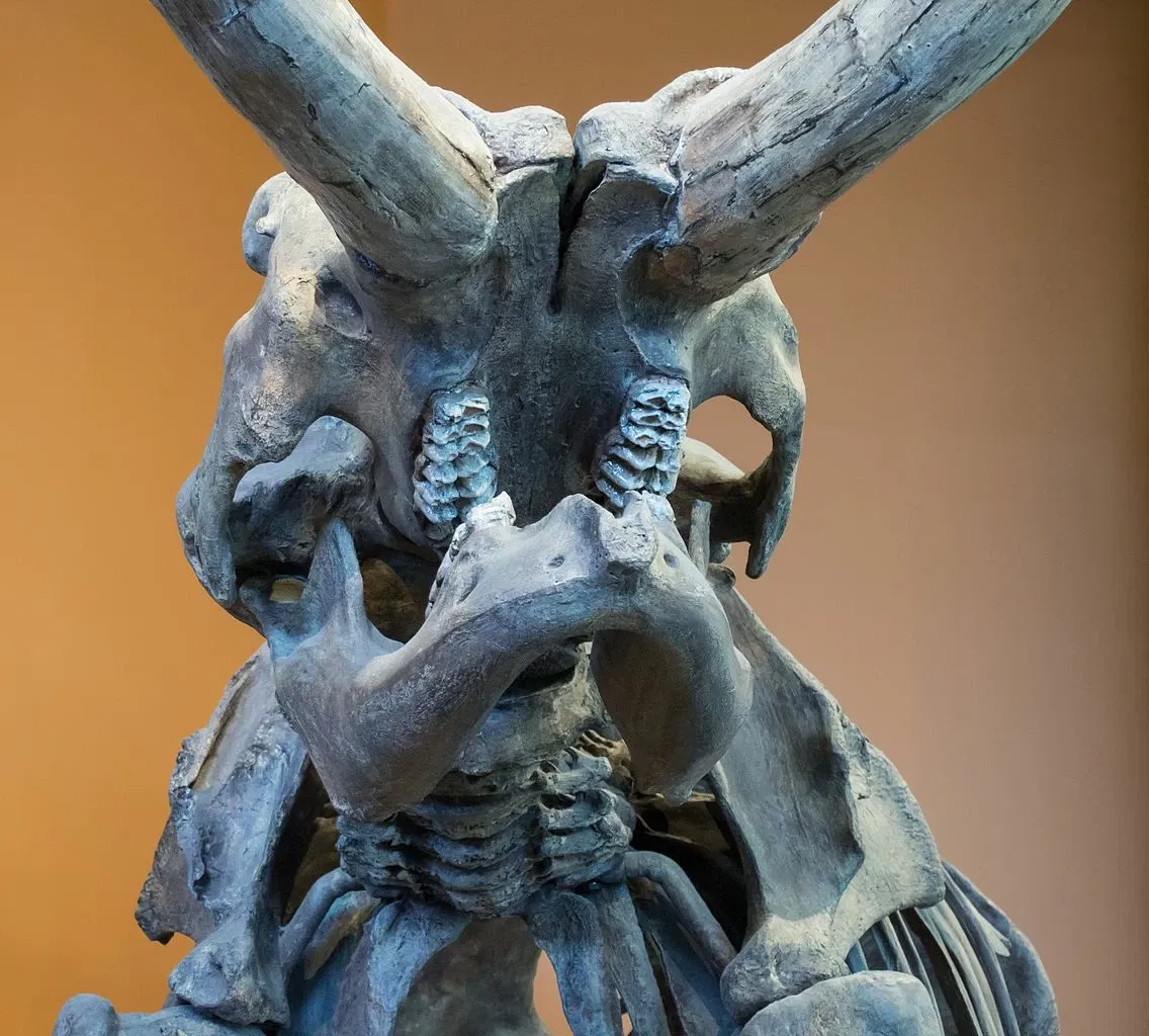 San Diego Natural History Museum