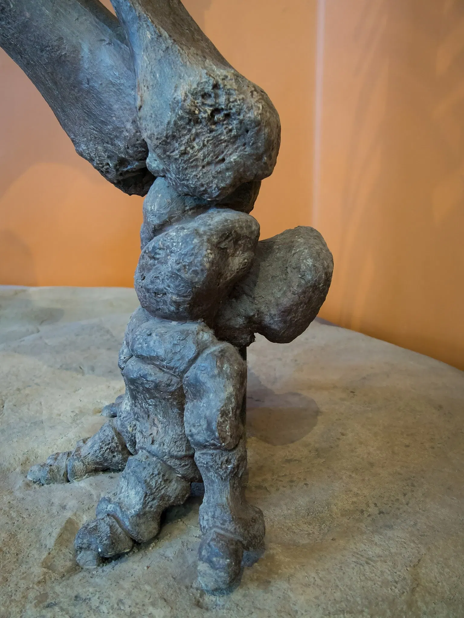 Museo de Historia Natural de San Diego