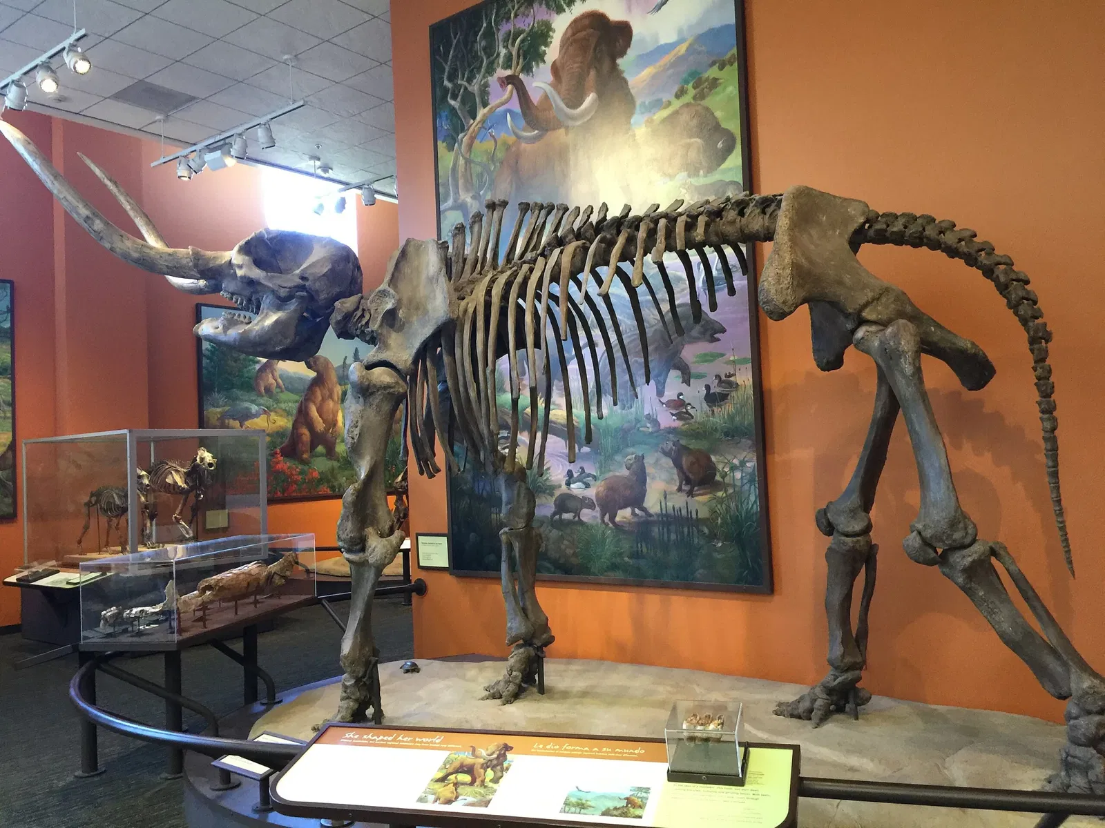 Museo de Historia Natural de San Diego