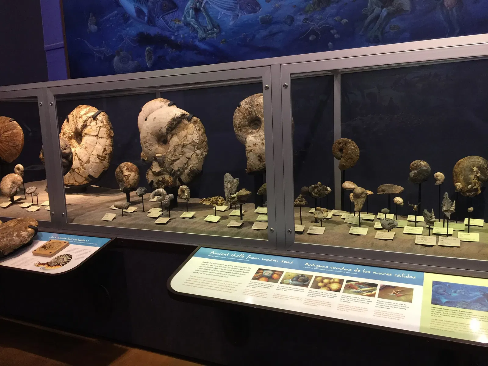 Museo de Historia Natural de San Diego